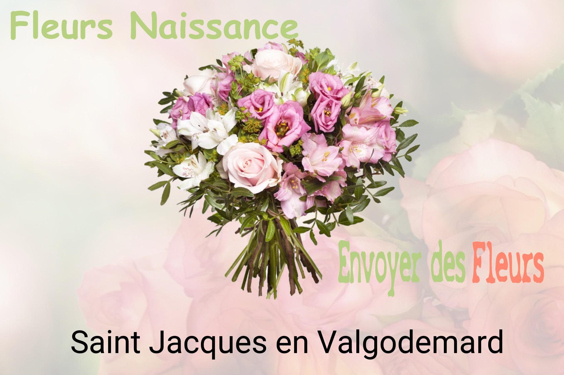Bouquet de fleurs de naissance livré à Saint-Jacques-en-Valgodemard